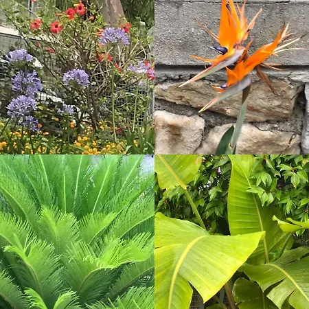 Appartement Dedelollo's