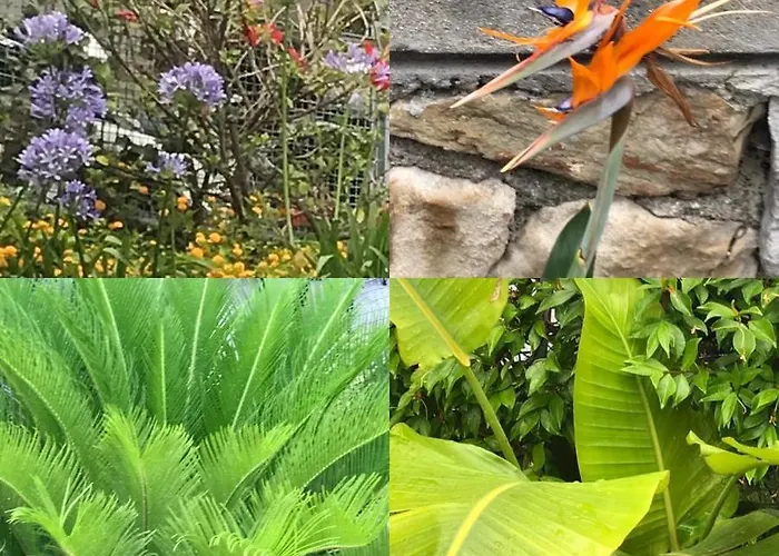 Apartment Dedelollo's